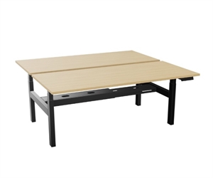 Afbeelding van B2450IG