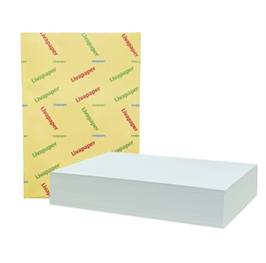 Afbeelding van PC10480