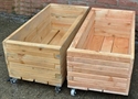 Afbeelding van CO28799