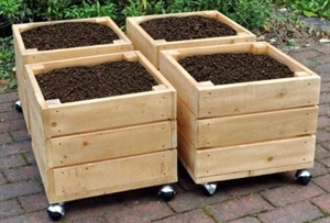Afbeelding van CO30685